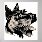 Scotty Dog Poster (Vorne)