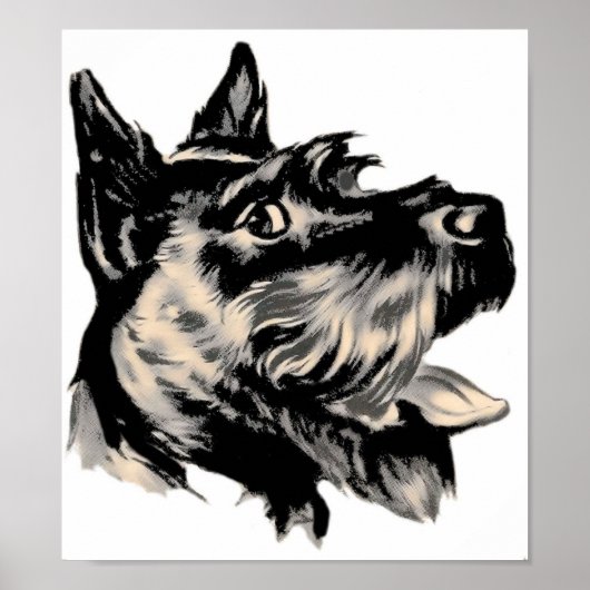 Scotty Dog Poster (Vorne)
