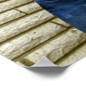 Scotty Vanity Blume Poster (Ecke)