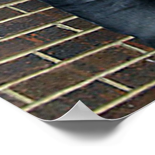 Scotty Vanity Brick Wall Poster (Ecke)