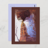 SCOTTY'S RETREAT Postcard Postkarte (Vorne/Hinten)