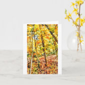 Scout Lake Park im Herbst Computer-Wasserfarbe   Karte (Gelbe Blume)