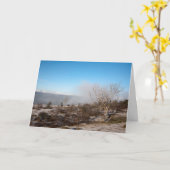 Scout Scar Cumbria England Ferienkarte Karte (Gelbe Blume)