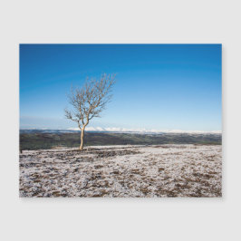 Scout Scar Winter Lake District England Magnetkarte