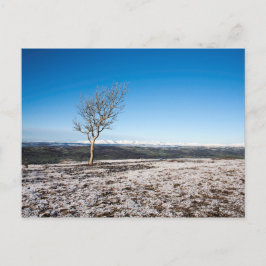 Scout Scar Winter Lake District England Postkarte