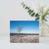 Scout Scar Winter Lake District England Postkarte (Stehend Vorderseite)