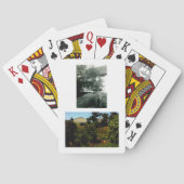 Scout Spielkarten (Rückseite)