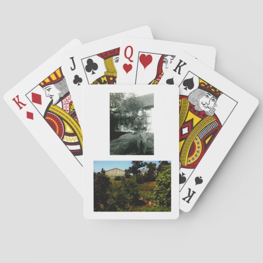 Scout Spielkarten (Rückseite)