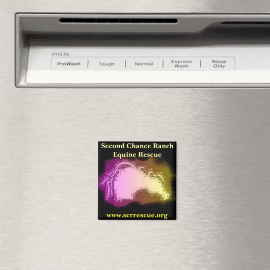 SCR Magnet (In Situ (Geschirrspüler))