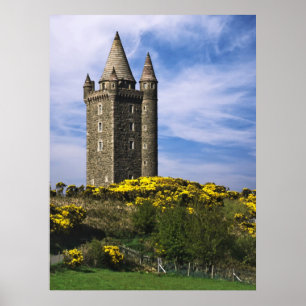 Scrabo Turm Poster