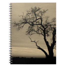 Scraggly Tree Silhouette Notizblock