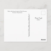 Scranton PA-Lake Scranton Post Card-Duck Walk Postkarte (Rückseite)