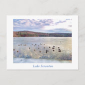 Scranton PA-Lake Scranton Post Card Encks Postkarte (Vorderseite)