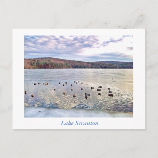 Scranton PA-Lake Scranton Post Card Encks Postkarte (Vorderseite)