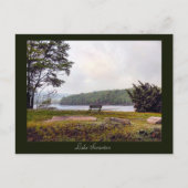 Scranton PA-Lake Scranton Post Card Postkarte (Vorderseite)