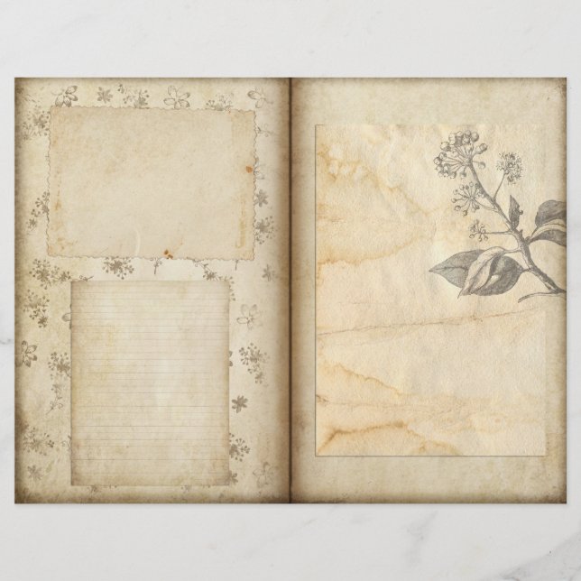 Scrapbook Paper des Vintag Botanischen Gartens (Vorderseite)