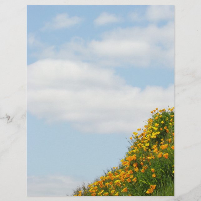 Scrapbook Paper Summer Meadow Poppy Blume (Vorderseite)