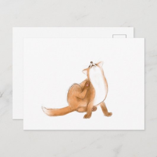 Scratching fox postkarte (Vorne/Hinten)