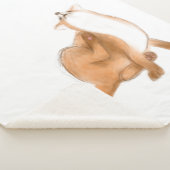 Scratching fox sherpadecke (3/4)