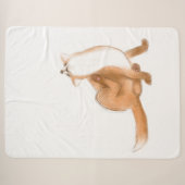 Scratching fox sherpadecke (Vorderseite (Horizontal))