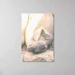 Scratching Leinwanddruck