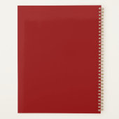 Scratching the Surface Planer (Rückseite)