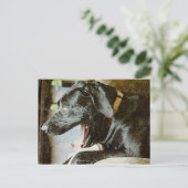 Scream Queen Postkarte (Stehend Vorderseite)