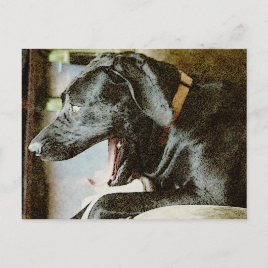 Scream Queen Postkarte (Vorderseite)
