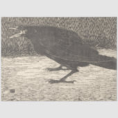 Screaming Crow (von Jan Mankes) Seidenpapier (Vorderseite)