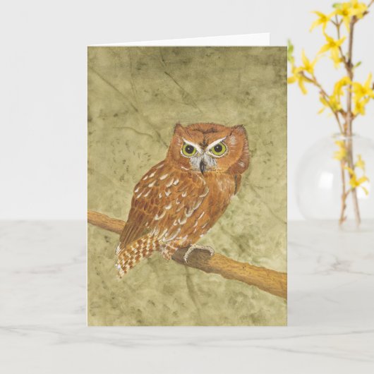 Screech Owl - 'Loudmouth' Karte (Gelbe Blume)