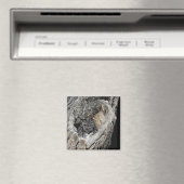Screech Owl Magnet - "Herz von San Pedro" (In Situ (Geschirrspüler))