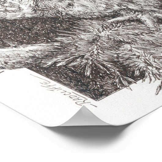 Screech Owl Poster (Ecke)