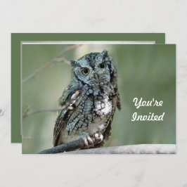 Screech Owl Treff Branch Foto Geburtstag Einladung