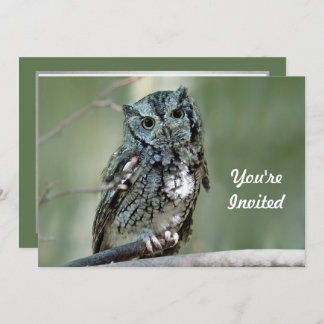 Screech Owl Treff Branch Foto Geburtstag Einladung
