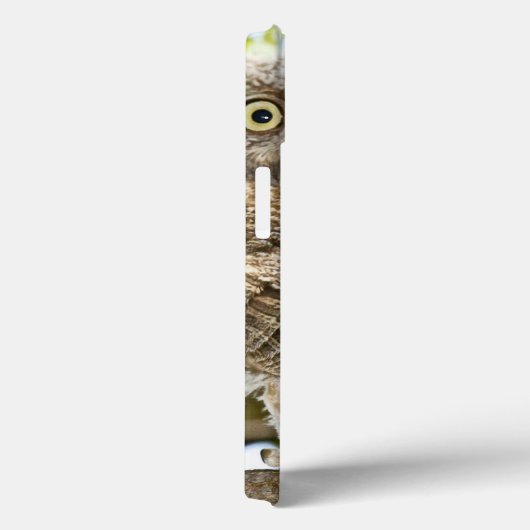 Screech Owls Chicks Case-Mate iPhone Hülle (Rückseite / Rechts)