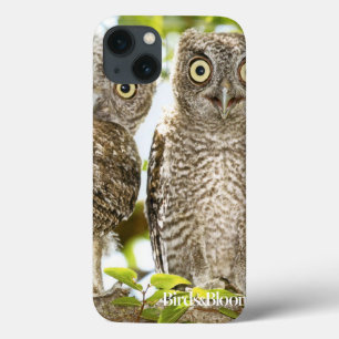 Screech Owls Chicks iPhone 13 Hülle