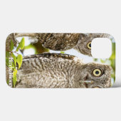 Screech Owls Chicks Case-Mate iPhone Hülle (Rückseite (Horizontal))