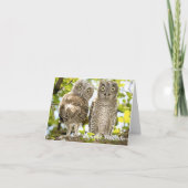 Screech Owls Chicks Feiertagskarte (Vorderseite)