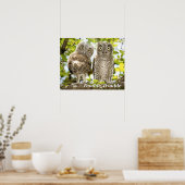 Screech Owls Chicks Poster (Küche)