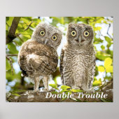 Screech Owls Chicks Poster (Vorne)