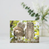 Screech Owls Chicks Postkarte (Stehend Vorderseite)