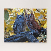 Screech Owls Puzzle (Horizontal)