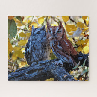 Screech Owls Puzzle