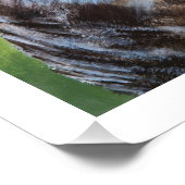 Screeching Owl Poster Print (Ecke)