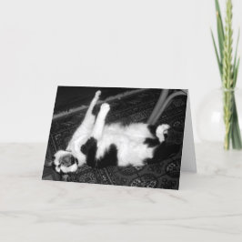 Screening Cat Belated Birthday Card Karte