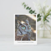 Screening Owl II Postkarte (Stehend Vorderseite)