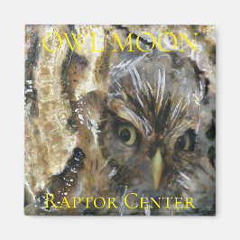 Screening Owl Magnet