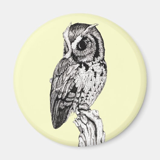 Screening Owl Magnet (Vorne)