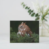 Screeningschale Postkarte (Stehend Vorderseite)
