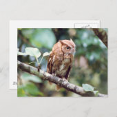 Screenshot Postkarte (Vorne/Hinten)